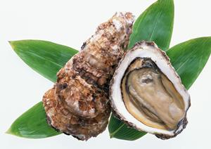 歌舞伎町で最高のホストを見つけるための完全ガイド｜選び方・体験談・成功の秘訣